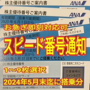 舞に10分スピード通知 ANA 全日空 株主優待券 1枚/2枚/3枚/4枚/5枚/6枚/7枚/8枚/9枚 国内 航空券 搭乗期限24年5月末まで(4d