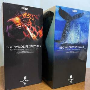 ☆BBC wildlife Specials DVD BOX + BBC wildlife Specials II DVD BOX ☆ 全13枚セット ワイルド 野生 動物 の画像2
