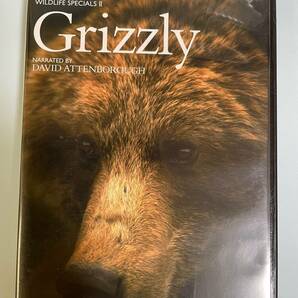 ☆BBC wildlife Specials DVD BOX + BBC wildlife Specials II DVD BOX ☆ 全13枚セット ワイルド 野生 動物 の画像3