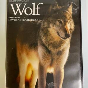 ☆BBC wildlife Specials DVD BOX + BBC wildlife Specials II DVD BOX ☆ 全13枚セット ワイルド 野生 動物 の画像4