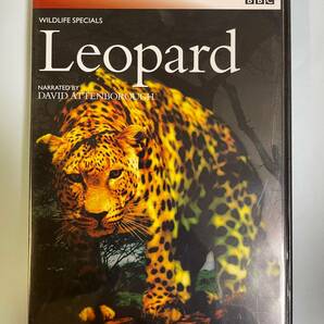 ☆BBC wildlife Specials DVD BOX + BBC wildlife Specials II DVD BOX ☆ 全13枚セット ワイルド 野生 動物 の画像8