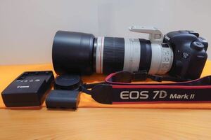 Canon EF100-400mm4.5-5.6L IS Ⅱ + 7D Mark Ⅱ