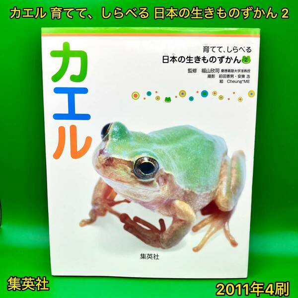 カエル 育てて、しらべる 日本の生きものずかん 2