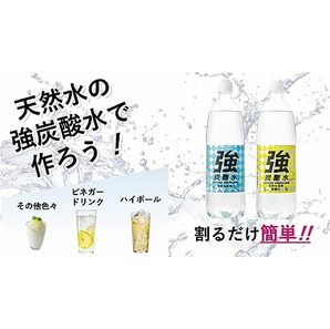 友桝飲料 強炭酸水 1L×15本の画像4