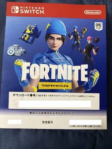 ニンテンドースイッチ fortnite Special v-bucks フォートナイト 特典 ワイルドキャットバンドル 未使用コードのみ