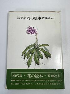 画文集 花の絵本 佐藤達夫 著 装本 さし絵 東京新聞 昭和45年（1970） 発行 植物画 版画 作品集 当時物 文集 【H66247】