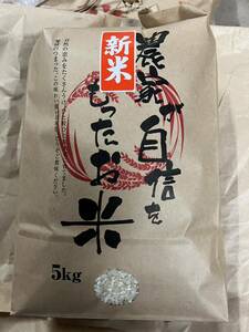 新米　令和5年産　山形県産　ヒメノモチ　白米　5キロ