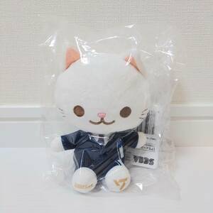 SEVENTEEN　ANIMAL COORDY　ミニぬいぐるみ　DREAM　JEONGHAN　衣装　猫　ネコ　非売品　限定品　レア　希少　新品未使用　UFOキャッチャー