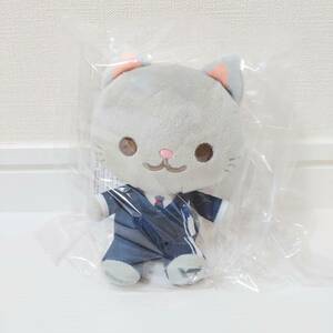 SEVENTEEN　ANIMAL COORDY　ミニぬいぐるみ　DREAM　WONWOO　衣装　猫　ネコ　非売品　限定品　レア　希少　新品未使用　UFOキャッチャー