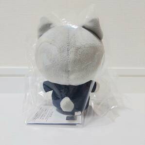 SEVENTEEN ANIMAL COORDY ミニぬいぐるみ DREAM WONWOO 衣装 猫 ネコ 非売品 限定品 レア 希少 新品未使用 UFOキャッチャーの画像2