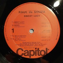 RAUL DE SOUZA / SWEET LUCY /LP/JOAO DONATO,BANANA TREE カバー/DERRICK CARTER,シカゴハウス,CHICAGO HOUSE,REMI,RUB N TUG_画像5