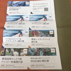 紙と電子チケット両方・お得 最新 日本駐車場開発 株主優待券 郵便番号と株主番号を同封・匿名配送・送料無料・追跡番号付きでお届けします