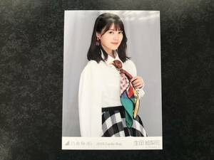 (即決) 生写真【生田絵梨花 乃木坂46/１枚　2019. Lucky Bag 】　