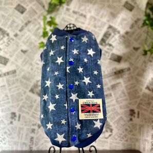 シルバースターM