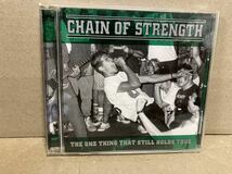 CHAIN OF STRENGTH【THE ONE THING THAT STILL HOLDS TRUE】PUNK/HARDCORE/GORILLA BISCUITS/JUDGE/AGNOSTIC FRONT/MADBALL/パンク天国_画像1