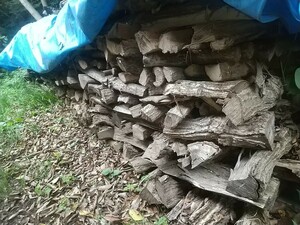  wide leaf .. firewood (2 year dry receipt limitation (pick up) )