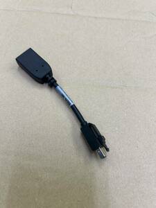 HP 703216-001・BizLink Mini-DisplayPort to DisplayPort 変換ケーブル (1