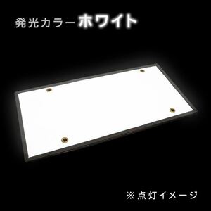 ю 極薄型 高輝度 字光式 LED ナンバー プレート ライト 面発光 大型/トラック/ダンプ 12V/24V 420mm×210mm 1枚 ホワイト イグナイター付