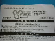 ２つ◎②非売品 未使用 TDL 40周年 バケーションパッケージ 東京ディズニーリゾート ショルダーバッグ TDR TDS ミッキー ミニー バケバ_画像3