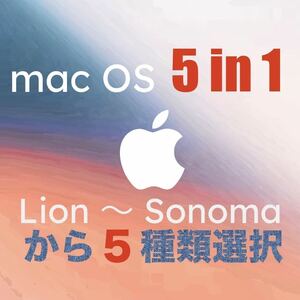 5種類選択 5-in-1 macOS X Lion〜Sonoma インストールUSBメモリ 起動ディスク ブータブル インストーラー