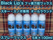 スキー スノーボード専用 イージーワックスミニ 5本セット 100ml×5本 オールラウンド 全雪質対応 スノボ スノーボード キャプテンスタッグ_画像1