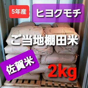 令和5年産棚田で育てたヒヨクモチ白米包帯込み2kg新米