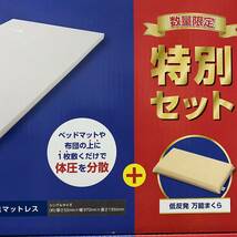 【新品未使用】トゥルースリーパー　プレミアム　ショップジャパン　シングル 厚み5cm 専用カバー＋枕付き 2箱_画像3