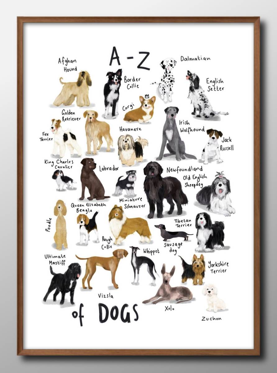 14459■Free Shipping!!Art Poster Painting A3 Size Dog Picture Book Dog DOG Illustration Scandinavian Matte Paper, residence, interior, others