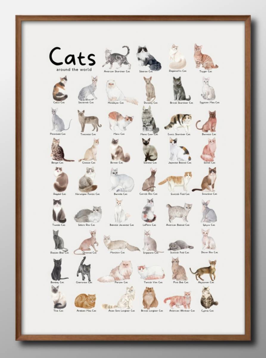 14461■무료배송!! 아트 포스터 페인팅 A3 사이즈 고양이 고양이 백과사전 품종 일러스트 북유럽 무광택 종이, 주택, 내부, 다른 사람