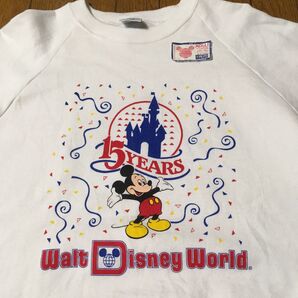 デッドストック80's Walt Disney World ウォルトディズニーワールド 15YEARS USA製
