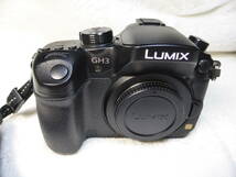 Panasonic LUMIX GH-3_画像3