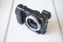 NEX-7 本体　美品　SONY　REALLY RIGHT STUFFプレート付_画像7