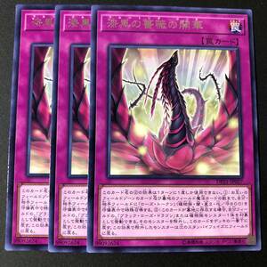 遊戯王 漆黒の薔薇の開華 レア 字レア 3枚 DP21-JP027