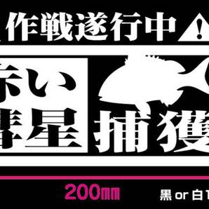 釣り　ステッカー 真鯛　「赤い彗星　捕獲作戦遂行中！」　マダイ
