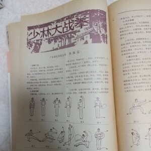 武林　少林大戦拳　六合八法拳　截拳道　太極拳　少林拳　少林寺　拳法　 武術　古武道　空手　気功　東洋医学　ジークンドー