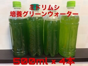 ミドリムシ 　ユーグレナ クロレラ　培養グリーンウォーター　 500ml　 4本セット 種水 メダカ 稚魚 エサ 育つ★　　