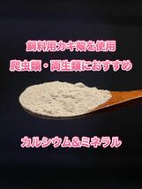 900g 牡蠣殻カルシウムパウダー【カルシウム&ミネラル】【爬虫類・両生類】【カキ殻】_画像1