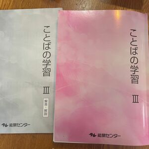 能開センター　ことばの学習3 ボールペン、鉛筆の書き込み6ページあり　中学入試　国語