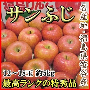 【Good】特秀品！名産地・福島笹谷産『サンふじ』12～18玉 約5kg ご予約