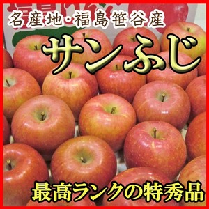 【Good】特秀品！福島笹谷産 りんご『サンふじ』12～16玉 約5kg ご予約
