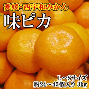 【Good】大量30箱出品中！天皇賞受賞！愛媛 JAにしうわ 川上共撰『味ピカ』 L～Sサイズ3kg 約24～45個入り