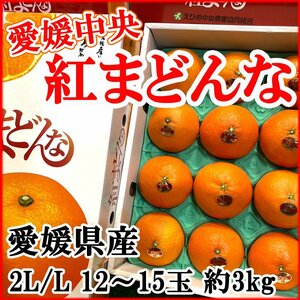 【Good】今季最終！限定2箱！愛媛中央限定！ 高級柑橘 愛媛産『紅まどんな』12～15玉約3kg