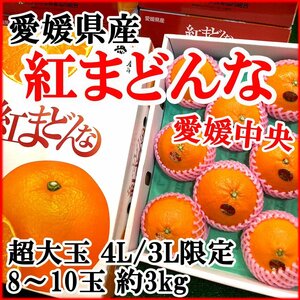 【Good】今季最終！超大玉4L/3L限定！トップブランド・愛媛中央 愛媛産『紅まどんな』8～10玉3kg