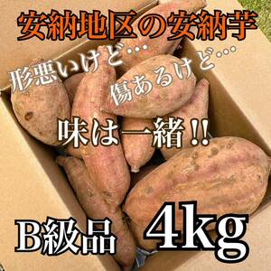 【正真正銘】　種子島安納地区の安納芋　農家直送　B級品　4kg