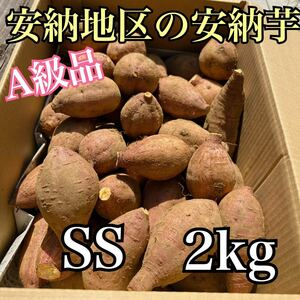 終盤ですSSサイズ祭り【正真正銘】　種子島安納地区の安納芋　農家直送　2kg