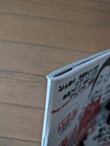 送料無料★紙のプロレス RADICAL 49_画像5