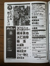 送料無料★紙のプロレス RADICAL 35_画像3