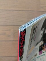 送料無料★紙のプロレス RADICAL 35_画像4