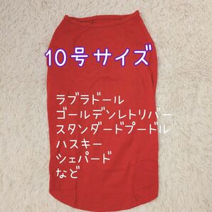 10号超大型犬◯ストレッチニットウェアー犬服ラブラドールゴールデンレトリバースタンダードプードルハスキーシェパードレッド赤