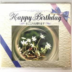 BT2/40　未開封CD オルゴールサウンド Happy Birthday まごころを贈ります CPL-2001 　■